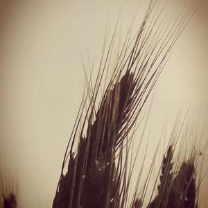 戏言资料,戏言最新歌曲,戏言MV视频,戏言音乐专辑,戏言好听的歌