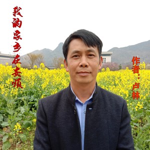 卢林资料,卢林最新歌曲,卢林MV视频,卢林音乐专辑,卢林好听的歌