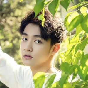 赵子麒资料,赵子麒最新歌曲,赵子麒MV视频,赵子麒音乐专辑,赵子麒好听的歌