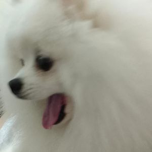 小肉肉资料,小肉肉最新歌曲,小肉肉MV视频,小肉肉音乐专辑,小肉肉好听的歌