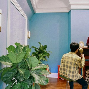 一颗葡萄籽资料,一颗葡萄籽最新歌曲,一颗葡萄籽MV视频,一颗葡萄籽音乐专辑,一颗葡萄籽好听的歌