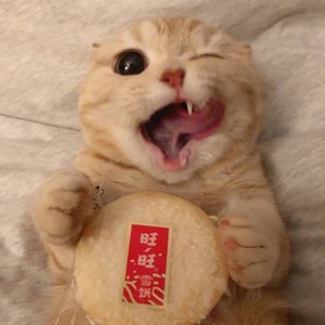 Damron资料,Damron最新歌曲,DamronMV视频,Damron音乐专辑,Damron好听的歌