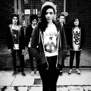 Marmozets