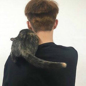 松寻梅资料,松寻梅最新歌曲,松寻梅MV视频,松寻梅音乐专辑,松寻梅好听的歌