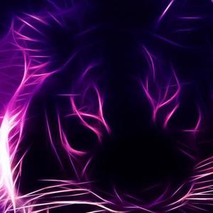 Reinhard资料,Reinhard最新歌曲,ReinhardMV视频,Reinhard音乐专辑,Reinhard好听的歌