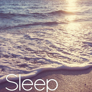 Sleepy Times资料,Sleepy Times最新歌曲,Sleepy TimesMV视频,Sleepy Times音乐专辑,Sleepy Times好听的歌