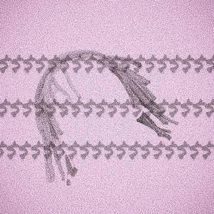 Lil Glock资料,Lil Glock最新歌曲,Lil GlockMV视频,Lil Glock音乐专辑,Lil Glock好听的歌