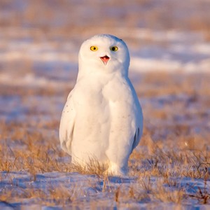 属七升九降十三资料,属七升九降十三最新歌曲,属七升九降十三MV视频,属七升九降十三音乐专辑,属七升九降十三好听的歌