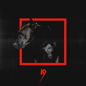 K9资料,K9最新歌曲,K9MV视频,K9音乐专辑,K9好听的歌