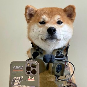 剑伤