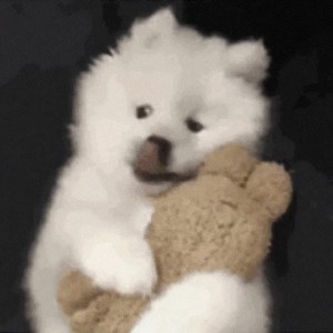 梵谷资料,梵谷最新歌曲,梵谷MV视频,梵谷音乐专辑,梵谷好听的歌