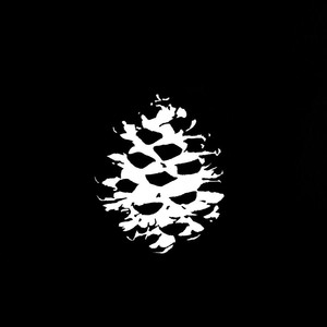 Pineal资料,Pineal最新歌曲,PinealMV视频,Pineal音乐专辑,Pineal好听的歌