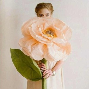 薄籽资料,薄籽最新歌曲,薄籽MV视频,薄籽音乐专辑,薄籽好听的歌