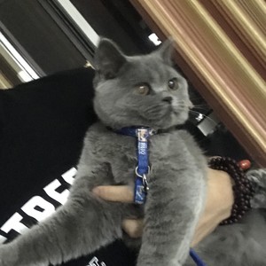 养猫爸爸 - 只对你有感觉 (长音频)