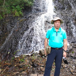 梧桐树资料,梧桐树最新歌曲,梧桐树MV视频,梧桐树音乐专辑,梧桐树好听的歌