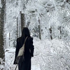 我会等 (COVER版)