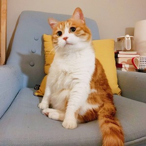 顾也资料,顾也最新歌曲,顾也MV视频,顾也音乐专辑,顾也好听的歌