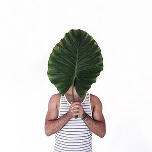 枫正豪资料,枫正豪最新歌曲,枫正豪MV视频,枫正豪音乐专辑,枫正豪好听的歌