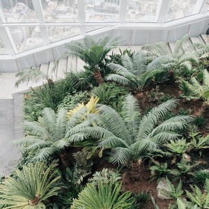 蒋艾霓资料,蒋艾霓最新歌曲,蒋艾霓MV视频,蒋艾霓音乐专辑,蒋艾霓好听的歌