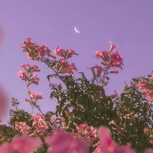 Sylvia资料,Sylvia最新歌曲,SylviaMV视频,Sylvia音乐专辑,Sylvia好听的歌