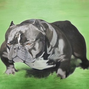 许轩玮资料,许轩玮最新歌曲,许轩玮MV视频,许轩玮音乐专辑,许轩玮好听的歌