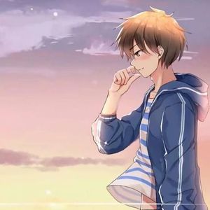 流浪的猫写情诗