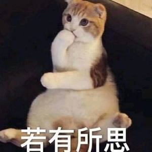 段折资料,段折最新歌曲,段折MV视频,段折音乐专辑,段折好听的歌