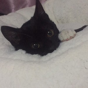 让我留在你身边