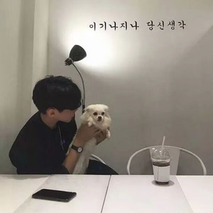 木偶人资料,木偶人最新歌曲,木偶人MV视频,木偶人音乐专辑,木偶人好听的歌