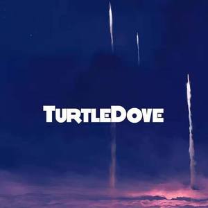 Turtle Dove斑鸠