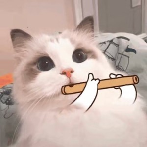 梦樱 Wang（王樱倩）资料,梦樱 Wang（王樱倩）最新歌曲,梦樱 Wang（王樱倩）MV视频,梦樱 Wang（王樱倩）音乐专辑,梦樱 Wang（王樱倩）好听的歌