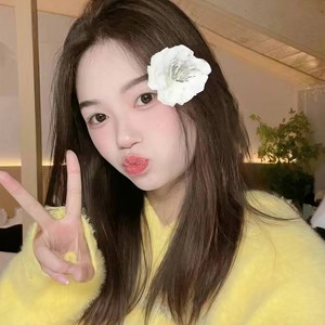 小羊羔资料,小羊羔最新歌曲,小羊羔MV视频,小羊羔音乐专辑,小羊羔好听的歌