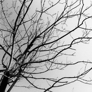 _R玊资料,_R玊最新歌曲,_R玊MV视频,_R玊音乐专辑,_R玊好听的歌