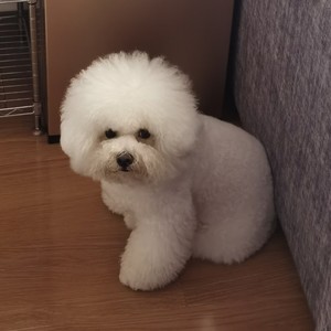 郑弘扬资料,郑弘扬最新歌曲,郑弘扬MV视频,郑弘扬音乐专辑,郑弘扬好听的歌