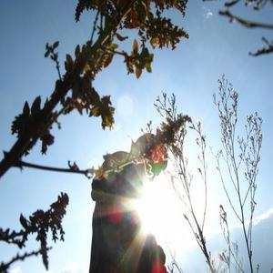 王震池资料,王震池最新歌曲,王震池MV视频,王震池音乐专辑,王震池好听的歌