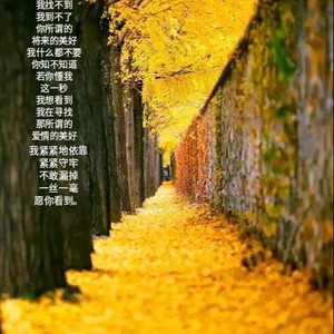 那片记忆资料,那片记忆最新歌曲,那片记忆MV视频,那片记忆音乐专辑,那片记忆好听的歌