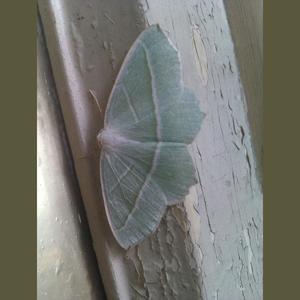 Echoel资料,Echoel最新歌曲,EchoelMV视频,Echoel音乐专辑,Echoel好听的歌