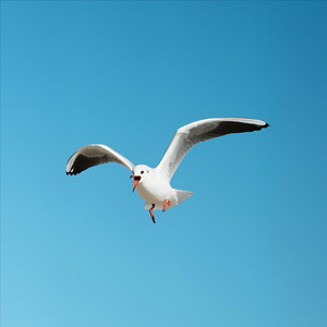 Araby资料,Araby最新歌曲,ArabyMV视频,Araby音乐专辑,Araby好听的歌