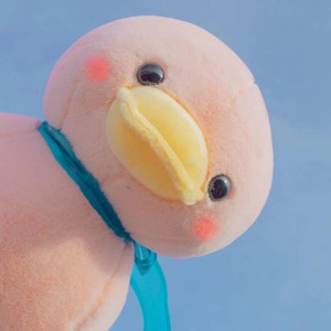 K.O资料,K.O最新歌曲,K.OMV视频,K.O音乐专辑,K.O好听的歌