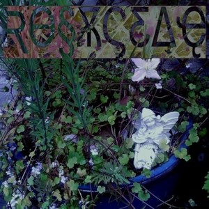 Rosaceae资料,Rosaceae最新歌曲,RosaceaeMV视频,Rosaceae音乐专辑,Rosaceae好听的歌