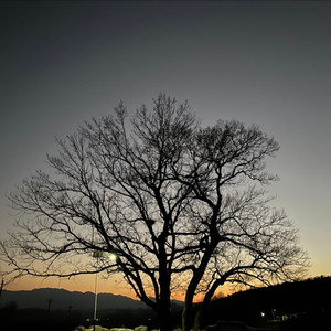 茈陌Zimor - 宠坏 (Live)