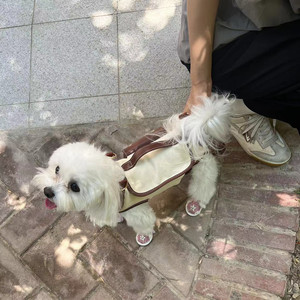 沈诚资料,沈诚最新歌曲,沈诚MV视频,沈诚音乐专辑,沈诚好听的歌