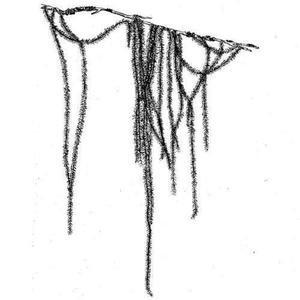 Lav'资料,Lav'最新歌曲,Lav'MV视频,Lav'音乐专辑,Lav'好听的歌