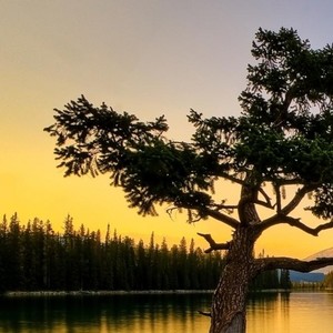 我是不是你最疼爱的人