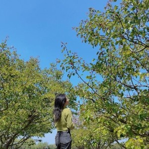 林西Babe资料,林西Babe最新歌曲,林西BabeMV视频,林西Babe音乐专辑,林西Babe好听的歌