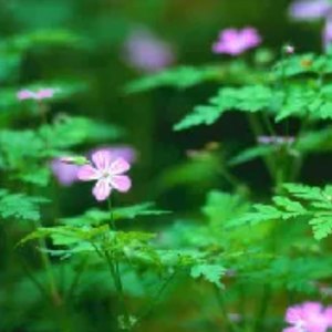 yvette-gz资料,yvette-gz最新歌曲,yvette-gzMV视频,yvette-gz音乐专辑,yvette-gz好听的歌