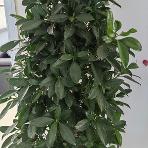 爱人啊资料,爱人啊最新歌曲,爱人啊MV视频,爱人啊音乐专辑,爱人啊好听的歌