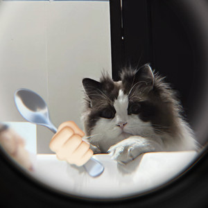 Ki桃桃资料,Ki桃桃最新歌曲,Ki桃桃MV视频,Ki桃桃音乐专辑,Ki桃桃好听的歌