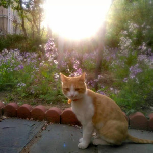 Cherry&17资料,Cherry&17最新歌曲,Cherry&17MV视频,Cherry&17音乐专辑,Cherry&17好听的歌