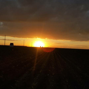 L023资料,L023最新歌曲,L023MV视频,L023音乐专辑,L023好听的歌